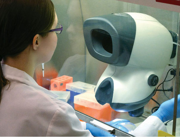 Tecnico di laboratorio con occhiali che utilizza il microscopio Mantis all'interno della cappa a flusso laminare