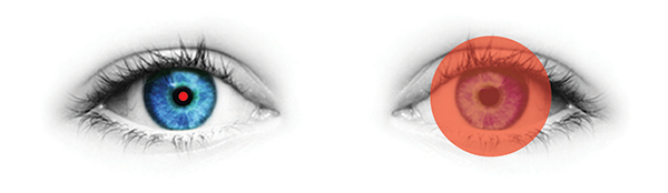 exit-pupil-600×174 Comparison of exit pupil size between binocular and eyepiece-less viewing